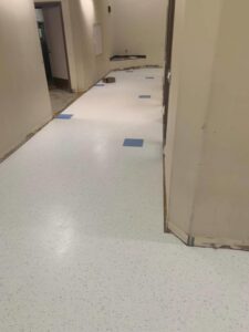 Two workers installing patterned carpet in a commercial hallway by Az Budget Flooring LLC in Tucson, AZ