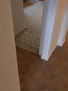 New carpet installation with padding visible in a hallway by The Land Flooring in Spring, TX.
