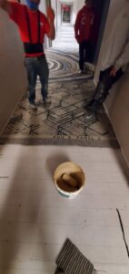 Carpet installation in progress in a commercial hallway by Az Budget Flooring LLC in Tucson, AZ