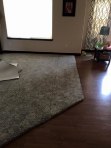 Carpet installation or removal in progress, showing carpet next to hardwood flooring by Essential Carpet Repair in Salt Lake City, UT.