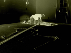 A worker on his knees performing carpet installation for Ed Massey Services in Roopville, GA.