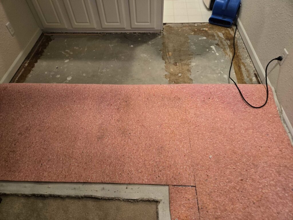 Exposed carpet padding with an air mover in the background, indicating carpet repair or water damage service by All Seasons Carpet Cleaning in Loves Park, IL.