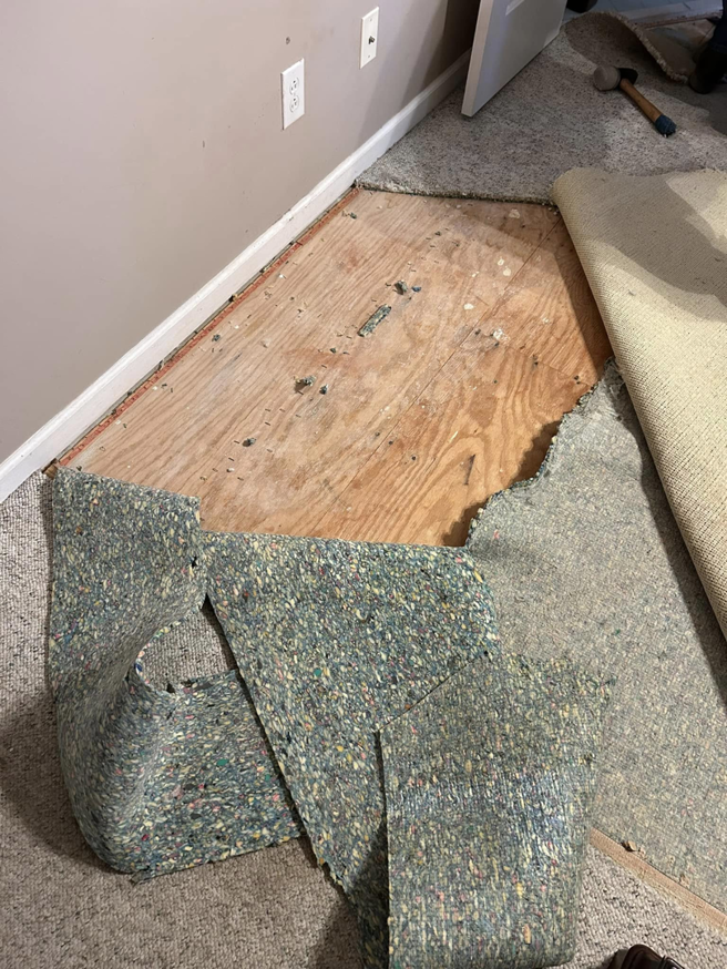 Carpet and padding pulled back to reveal the subfloor during a flooring project by Image Group Flooring in Leesville, SC.