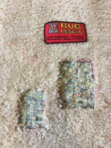 Carpet with square sections cut out, showing padding, indicating a patch repair job by Rug Rescue Carpet & Upholstery Cleaning in Puyallup, WA.