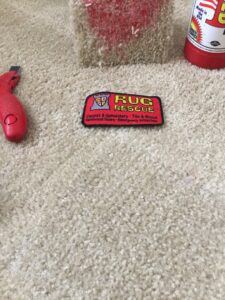 Carpet with a red stain and cleaning tool, showing a stain removal job by Rug Rescue Carpet & Upholstery Cleaning in Puyallup, WA.