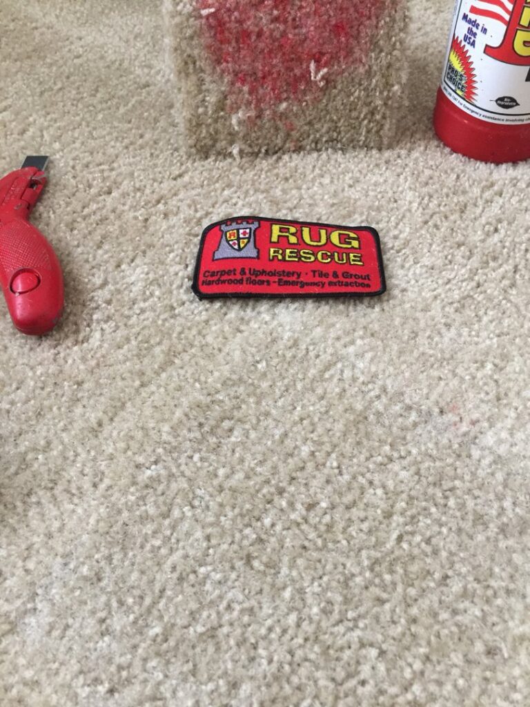 Carpet with a red stain and cleaning tool, showing a stain removal job by Rug Rescue Carpet & Upholstery Cleaning in Puyallup, WA.