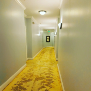 A hallway with old carpet removed, showing the subfloor in preparation for new carpet installation by Yankees Carpet Inc in Baltimore, MD