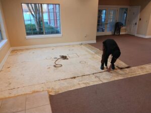 Workers performing carpet removal service, exposing the subfloor, by Wildcat Flooring in Lexington, KY.