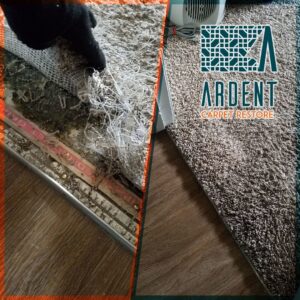 Before and after view of carpet repair, showing damaged carpet and then restored carpet by Ardent Carpet Restore in Sacramento, CA.