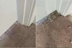 Before and after comparison of carpet repair and cleaning near a doorway by Father and Son Companies in Gaithersburg, MD.