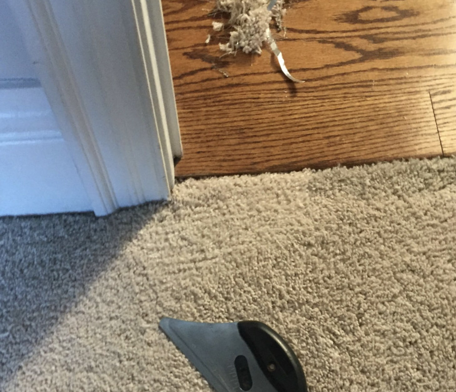 A carpet repair job in progress with a specialized tool by Everlush in Castle Rock, CO.