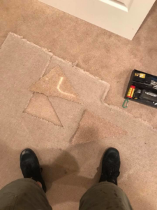 Carpet with triangular sections cut out for repair, showing a job in progress by Brett's Pro Carpet Repair in Fort Collins, CO.
