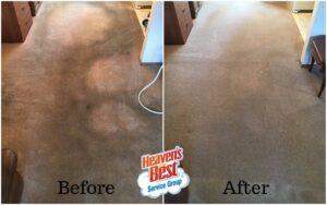 Before and after comparison of a carpeted room, showing circular stains removed by Heaven's Best Carpet Cleaning Hilton Head Island SC.