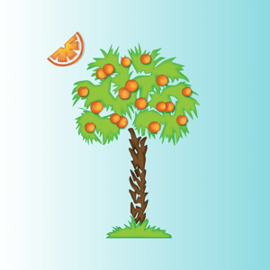 Carpet & Rug Cleaning