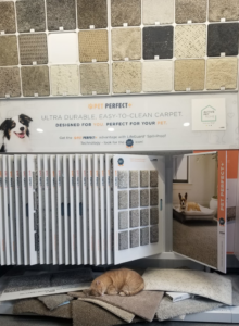 A display of various carpet samples with a cat sleeping on them at Floor Concepts in Owensboro, KY.