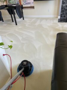 A professional from Muscle Cleaning Services scrubbing a carpet with a rotary machine in Dallas, TX.
