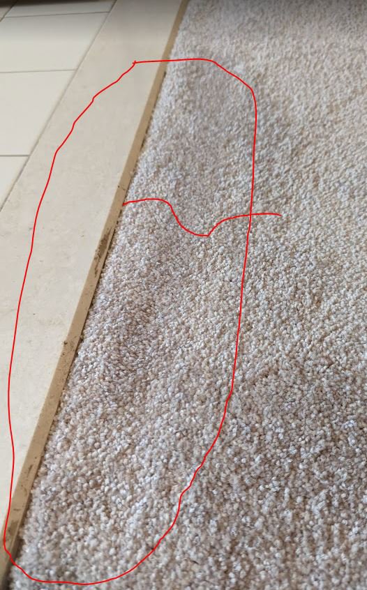 A professionally installed carpet seam in a hallway by Family Carpet LLC in Wilmington, DE