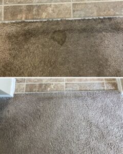 Before and after comparison of a carpet spot cleaned by Chem-Dry of Seattle in Seattle, WA