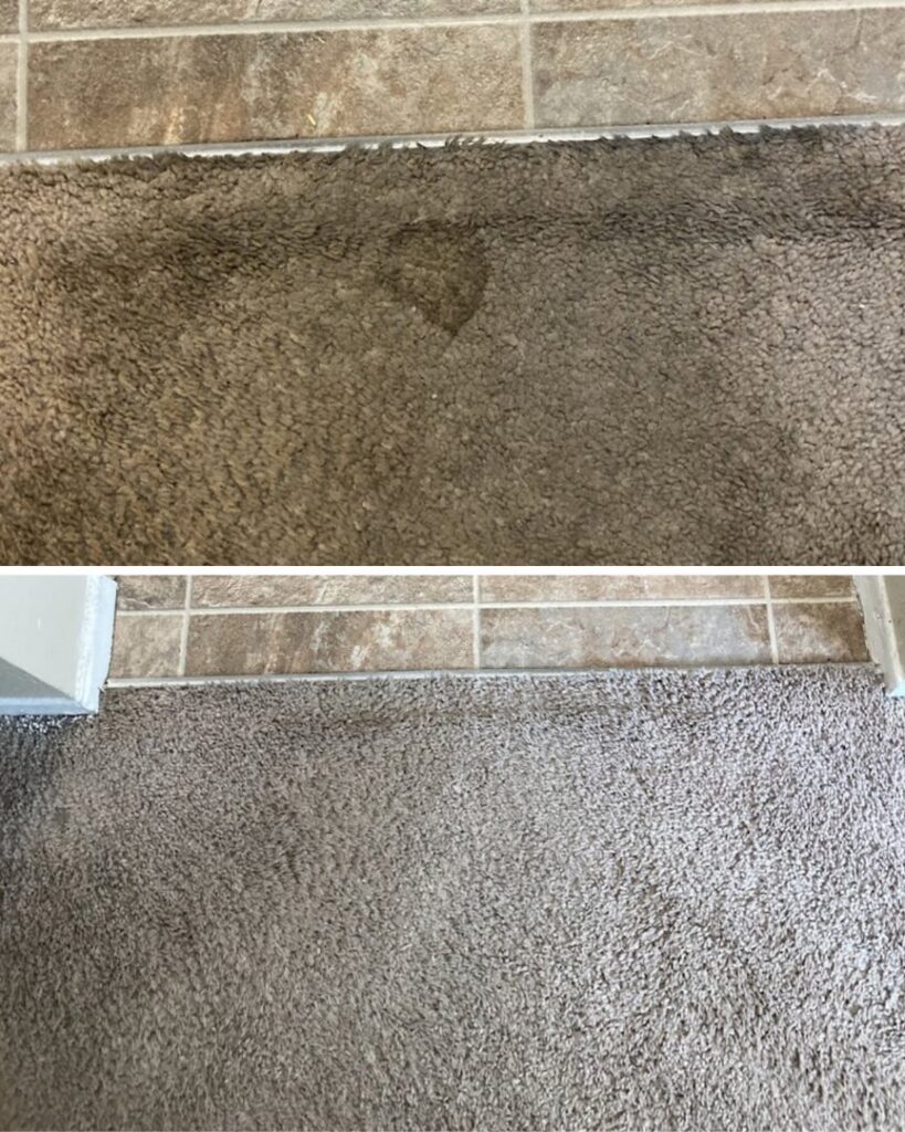 Before and after comparison of a carpet spot cleaned by Chem-Dry of Seattle in Seattle, WA