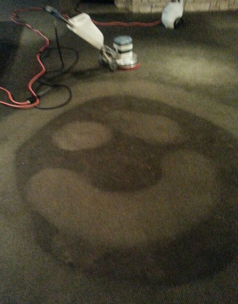 A carpet cleaning machine performing spot cleaning on a dark carpet, showing a clean circular area by Royal Carpet & Upholstery Cleaning in Lincoln, NE.