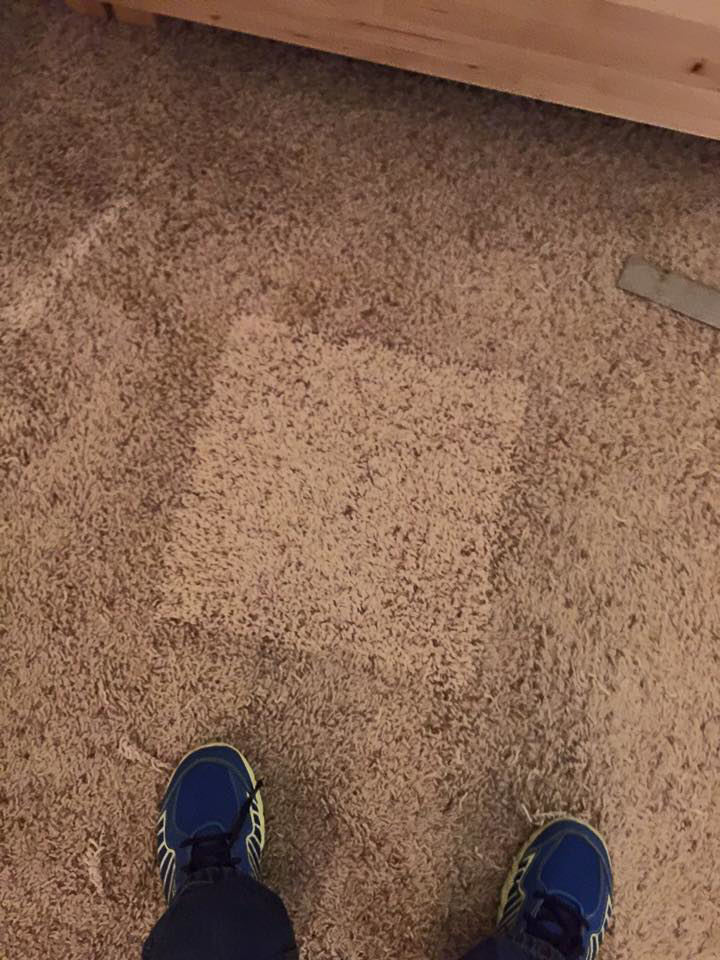 A cleaned or repaired spot on a carpet, showing the result of work by Essential Carpet Repair in Salt Lake City, UT.