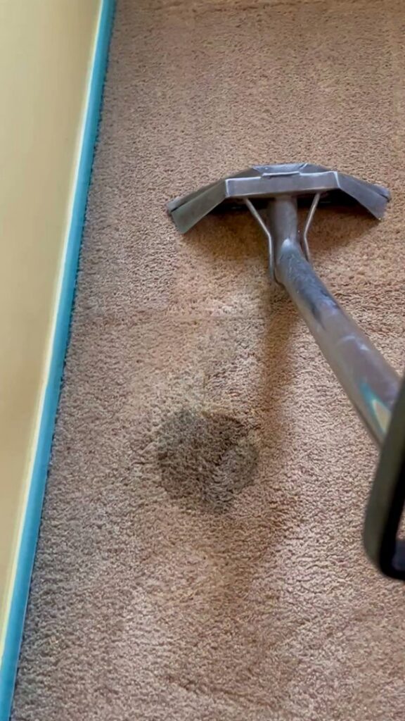 A carpet cleaning wand removing a visible spot stain from a carpet by On The Spot Carpet Cleaning in Erie, PA.
