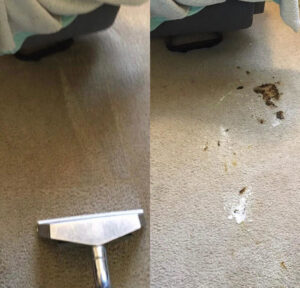 Before and after of effective carpet stain removal by A Brighter Cleaning Service in Arlington, TX.