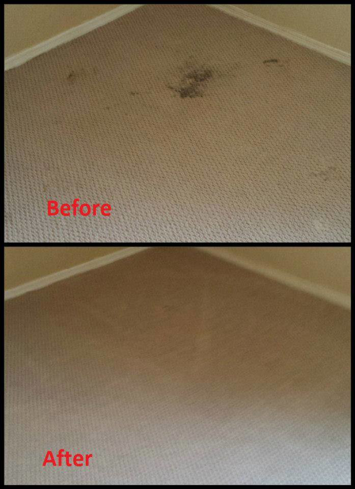 Before and after view of successful carpet stain removal by Apex Carpet Cleaning & Flood Restoration LLC in Phoenix, AZ