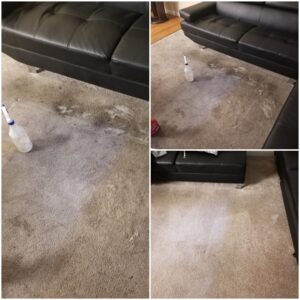Before and after images demonstrating effective carpet stain removal by Baymist Carpet Cleaning & Repair in Spokane, WA.