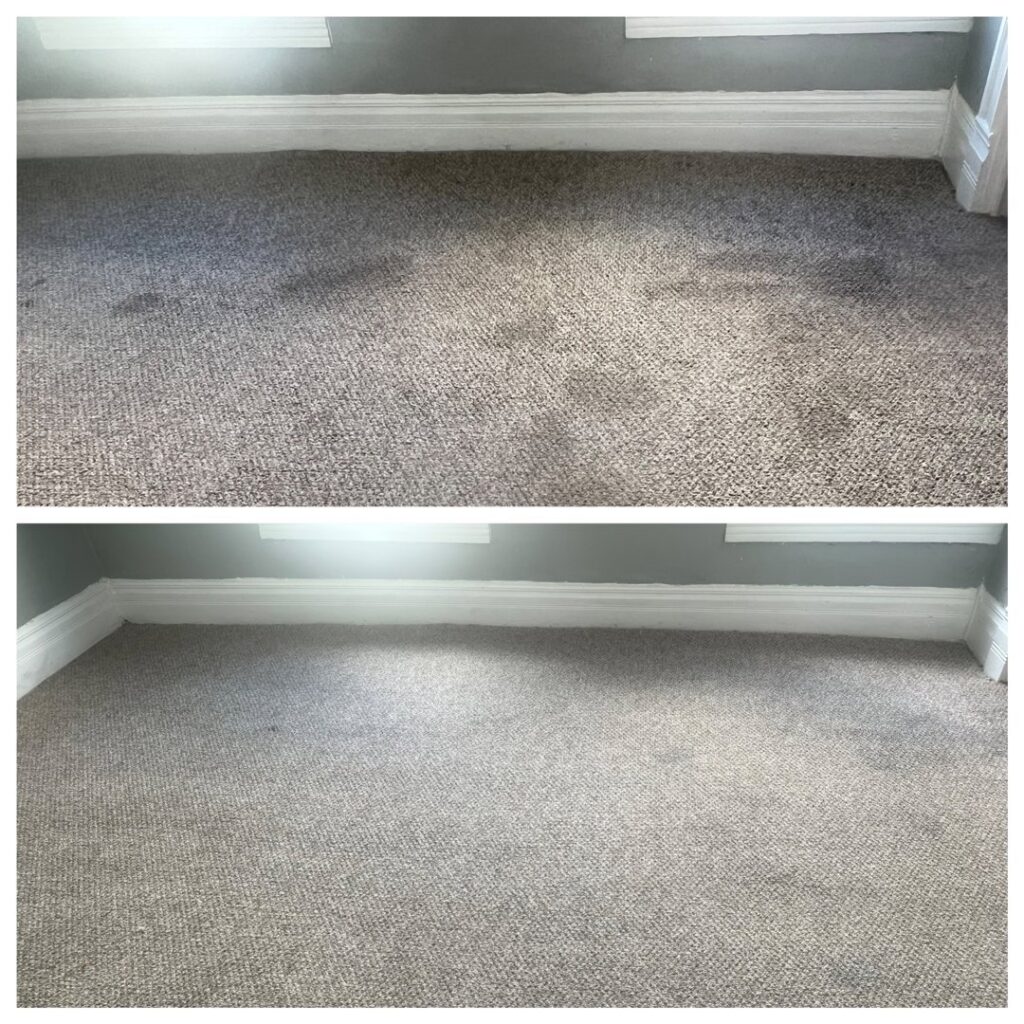Before and after view of a carpeted area showing successful stain removal by Brooke's Chem-Dry Lawrence in Kansas City, MO.