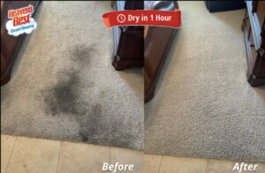 Before and after of carpet stain removal, highlighting the "Dry in 1 Hour" service by Heaven's Best Carpet Cleaning of Rio Rancho ABQ.