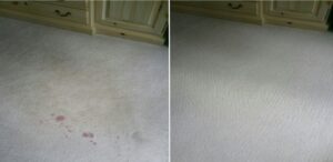 Before and after comparison of a carpet with a red stain, successfully removed by Eco Carpet Cleaning in Indianapolis, IN.
