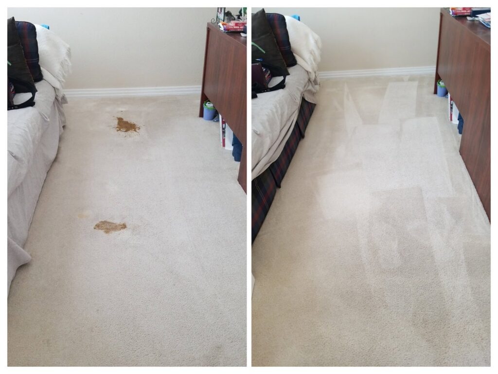 Before and after comparison of a carpet showing successful stain removal by Foothills Steam Carpet Cleaners in Fort Collins, CO.
