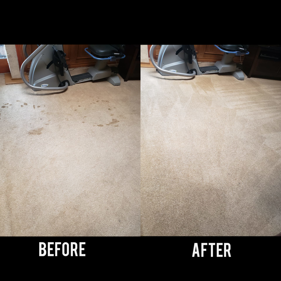Before and after professional carpet stain removal by Gateway Steamers in Austin, TX