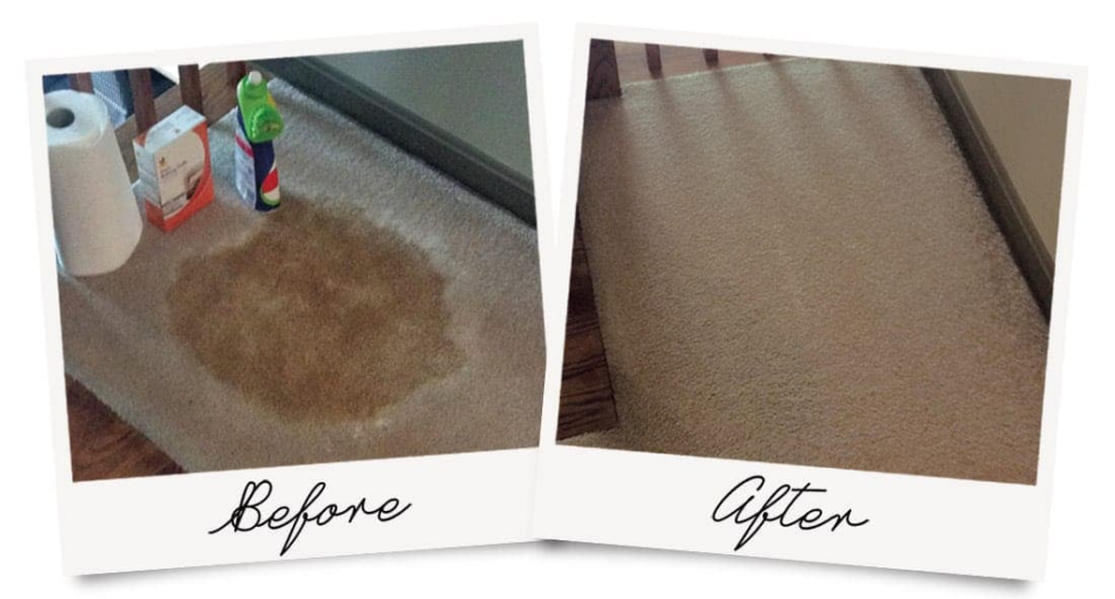 Before and after of a successful carpet stain removal by Kiwi Clean Carpet Cleaning in Phoenix, AZ.