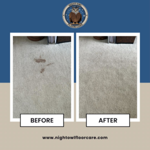 Before and after photos showing successful carpet stain removal by Night Owl Floor Care in Wasilla, AK.