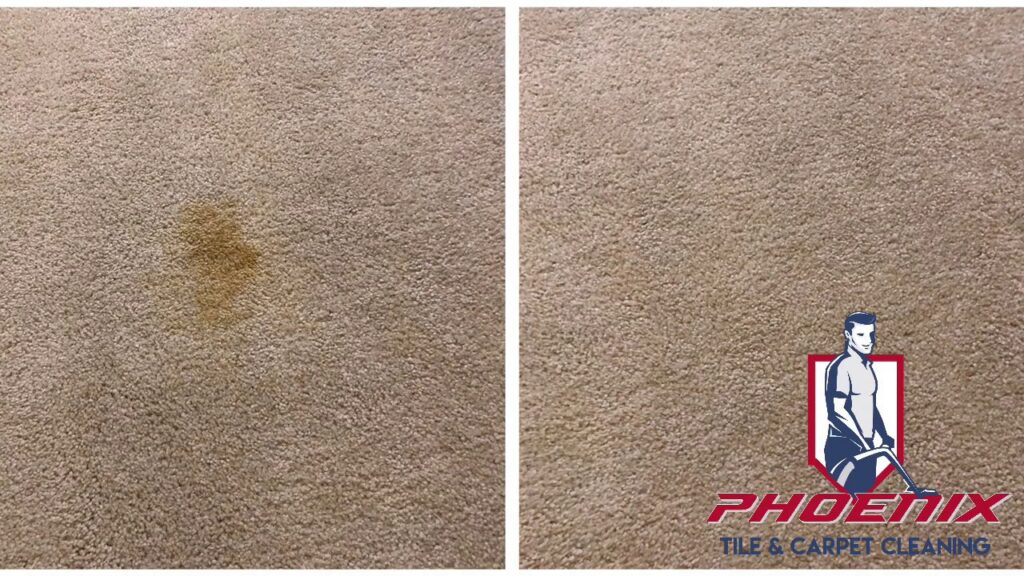 Before and after photo of a successful carpet stain removal by Phoenix Tile & Carpet Cleaning in Tempe, AZ.