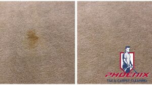 Before and after photo of a successful carpet stain removal by Phoenix Tile & Carpet Cleaning in Tempe, AZ.