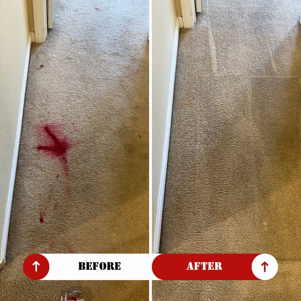 Before and after comparison of a red stain removed from carpet by Raysco, Inc. in Las Vegas, NV.