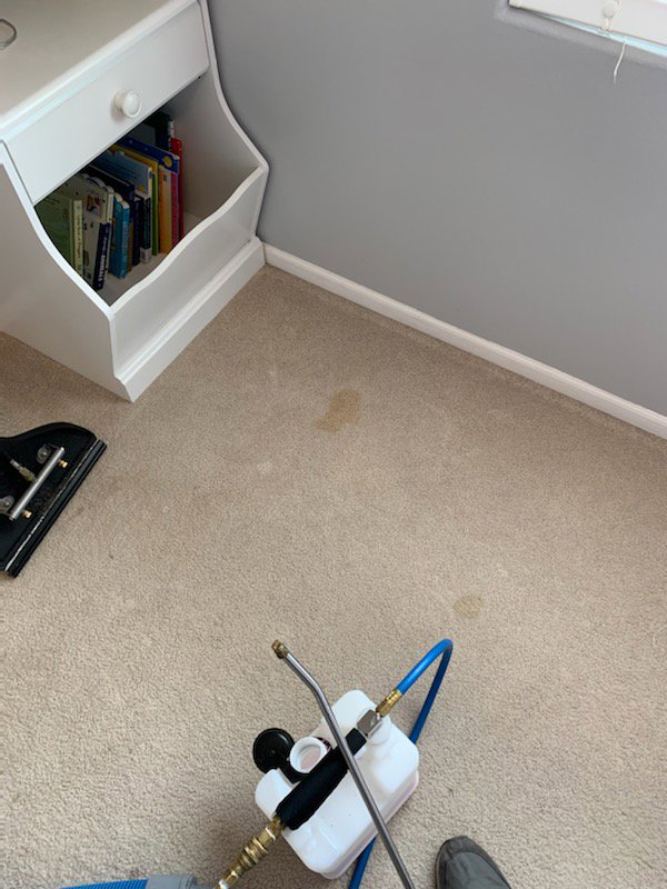 Professional carpet stain removal in progress with cleaning equipment by Elementscarpetcleaning.net in Omaha, NE.