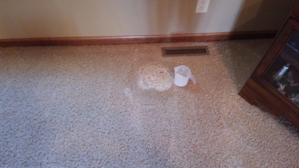 A visible stain on a carpet being treated by Customer First Carpet Cleaning in Appleton, WI