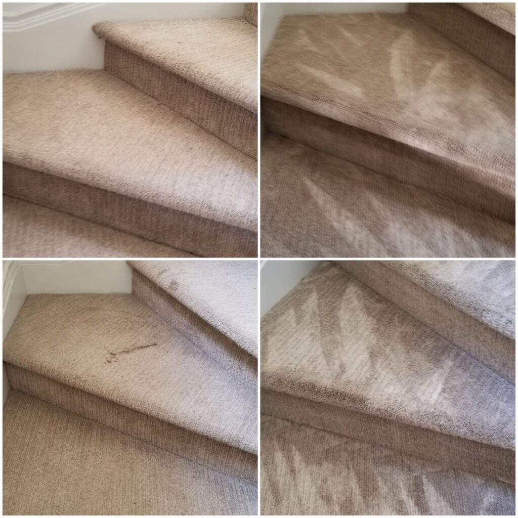A four-panel collage showing before and after cleaning of carpeted stairs by Baymist Carpet Cleaning & Repair in Spokane, WA.