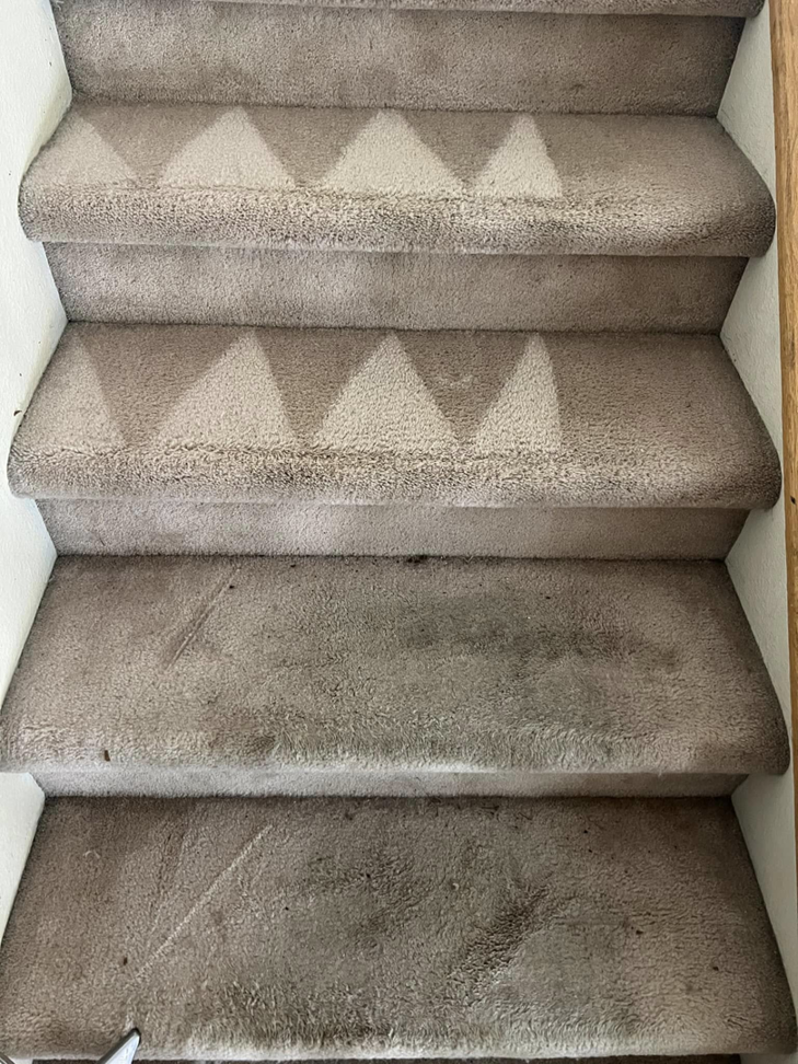 Before and after view of carpeted stairs being cleaned by Premium Carpet & Upholstery in Fort Collins, CO