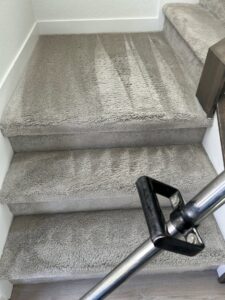 Carpet stair cleaning in progress, with a cleaning wand visible, performed by 303 Carpet Cleaning in Lakewood, CO