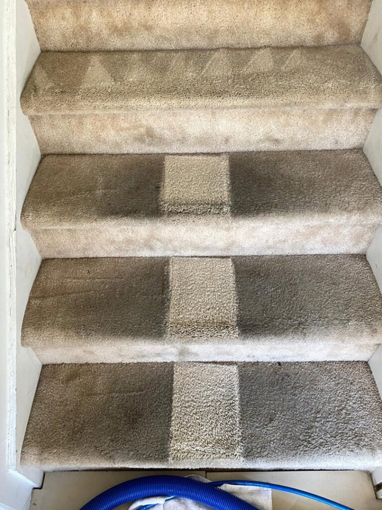 Carpeted stairs showing a clean path after a professional cleaning pass by Chem-Dry Nona in Orlando, FL, with cleaning equipment visible.