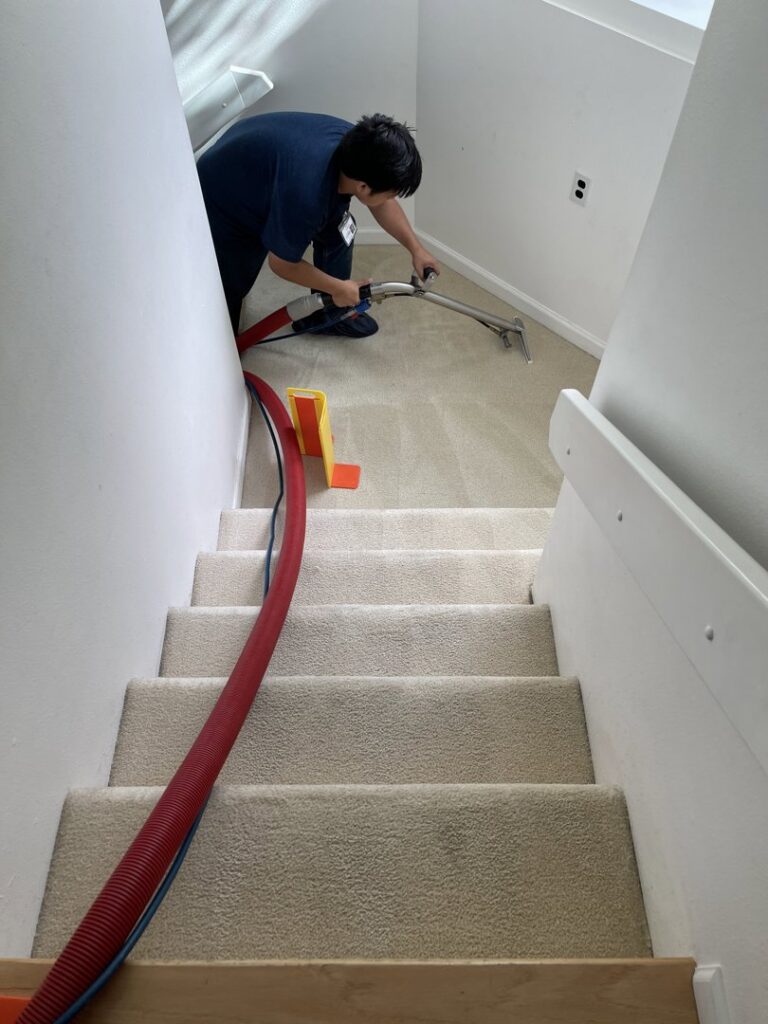 A technician cleaning a carpeted staircase with professional equipment for Allen Rapid Dry Carpet Cleaning in Anchorage, AK.
