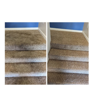 Before and after comparison of a dirty carpeted staircase cleaned by All Kleen Carpet Cleaning in Mountlake Terrace, WA.