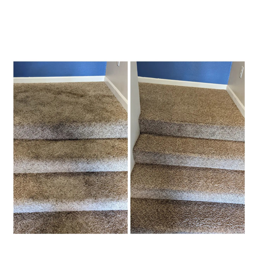Before and after comparison of a dirty carpeted staircase cleaned by All Kleen Carpet Cleaning in Mountlake Terrace, WA.