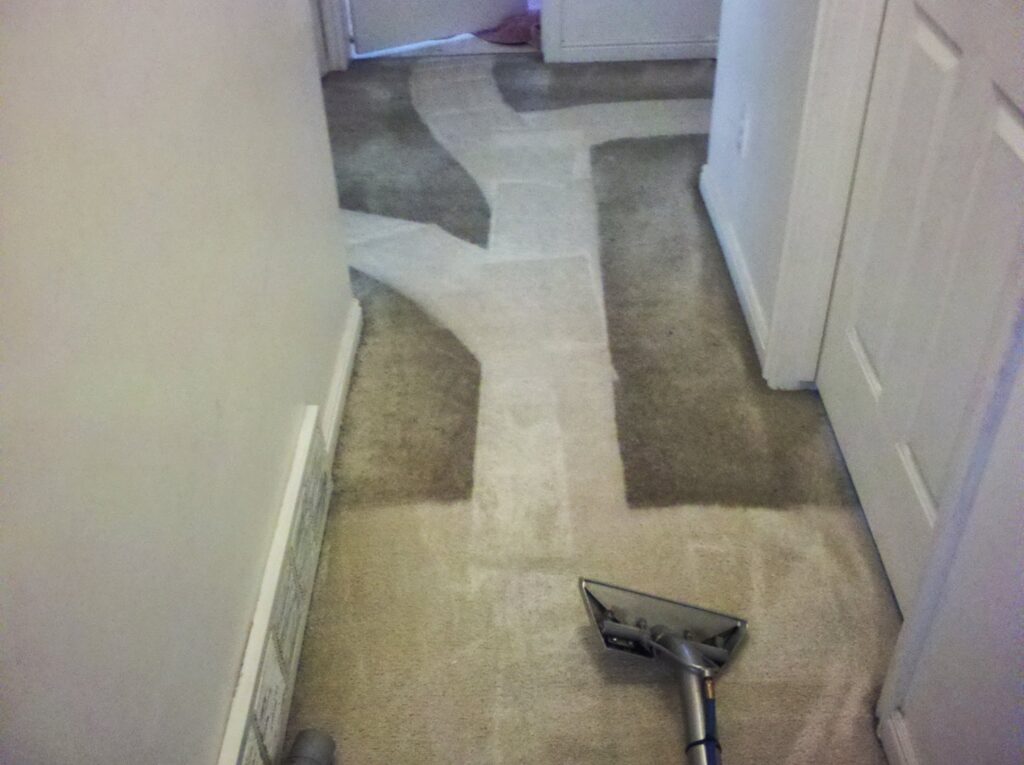 Carpeted stairs showing a clear division between dirty and freshly cleaned sections by United Carpet Cleaning in Taylorsville, UT.