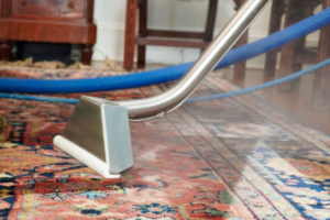 Professional carpet steam cleaning in progress on an area rug by Tru-Steam Carpet & Upholstery Cleaning in Guyton, GA